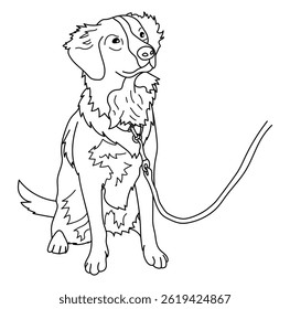 Linhagem, colorir página. Um cachorro calmo na coleira fica perto