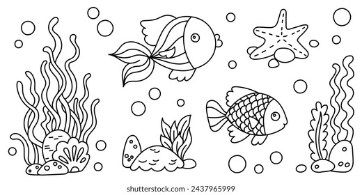 Line art coloring page for kids. Kindergarten or preschool coloring activity. Underwater life, seaweeds, fish, seashell, and seastar. Ocean or sea life vector illustration