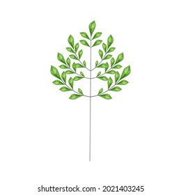 Composición artística de línea con hojas realistas.  Salvemos el medio ambiente rescatando los bosques.Plantas de cultivo de árboles.Concepto ambientalmente amigable respeto por la naturaleza.