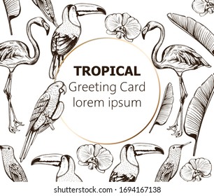 Line art composition of tropical animals and leaves. Flamingo, tucano bird, parrot and swallow. Place for text. Vector