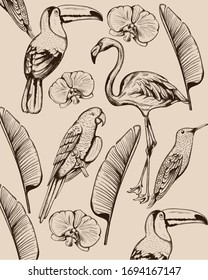 Line art composition of tropical animals and leaves. Flamingo, tucano bird, parrot and swallow. Vector