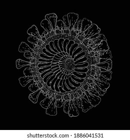 Line art Coronavirus-19 on black background vector illustration bacteria and germs cancer microbial cells fungi