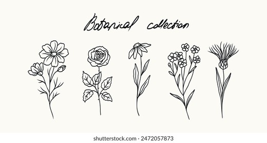 Line art cosmos, rose, chamomile, forget-me-not, milk thistle