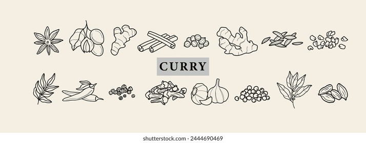 Line art curry spices illustration