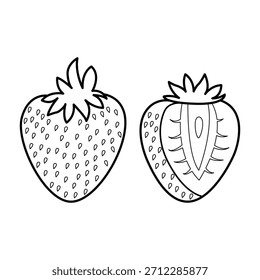 The Line Art of Cut Strawberry