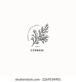 Line art cypress branch illustration svg