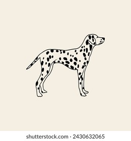 Line art Dalmatian dog illustration