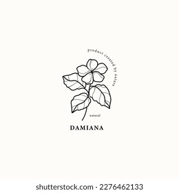 Line art damiana flower illustration