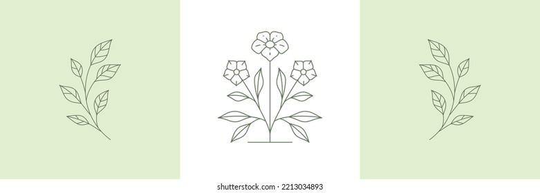 Line art deco simple wild cute flowers with stem, buds, petals and leaves monochrome decorative design card set vector illustration. Linear wellness logo gardening farming shop market natural plant