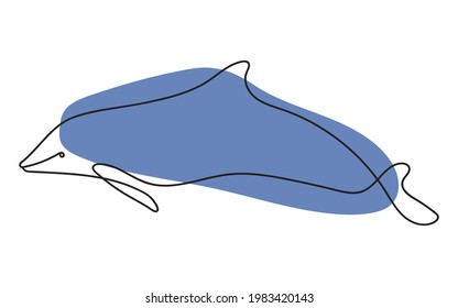 Line art dolphin with color shape. Underwater life vector illustration in trendy style. Abstract drawing.