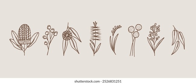 Line art doodle Australian native flowers and plants