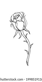 Line art ,doodle,abstract of rose, flower isolate on white ,black background. Copy space for your text.  Vector illustration 