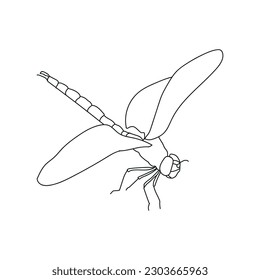 line art of dragonfly isolated in white background
