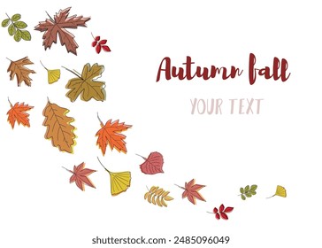 Line Art Drawing Autumn Leafs. Autumn fall script font and leaves isolated on white background vector illustration