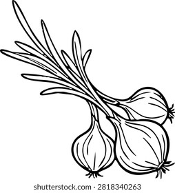 Line art drawing of a bunch of fresh pearl onions with stems