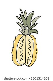 Line art drawing of cut pineapple with leaves in boho style. Botanical single line colored retro drawing of fruit. Contour line outline composition isolated on white background.