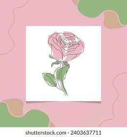 Line art drawing of Decorative beautiful English garden rose with leaves and color spots on the Decorative background