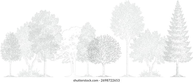 Line art drawing of diverse trees with varied foliage and bare branches against a white background forest