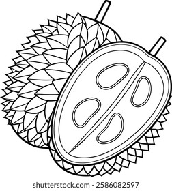 Line art drawing of a durian fruit, showing its spiky exterior and creamy interior with seeds. A tropical fruit native to Southeast Asia, known for its strong odor and unique taste.