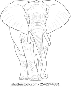 Desenho de arte de linha de um elefante andando