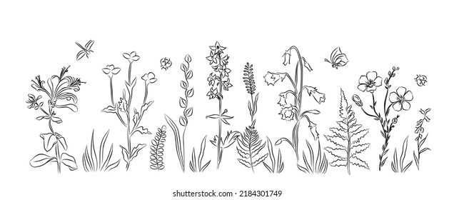 Line art drawing of grass, flowers and herbs isolated on white background. Hand drawn sketch flowers and insects. Modern minimalist vector art illustration.