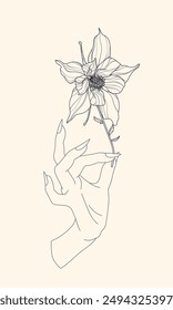 line art drawing hand hold tiny flower aquilegia 