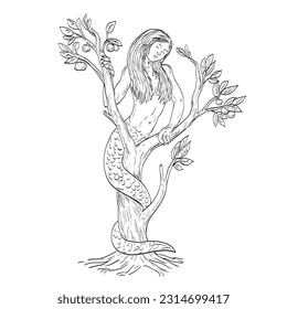 Line art drawing illustration of a Draconcopedes, a beast-like serpentine creature with the head, face and breasts of a woman curled in a tree done in medieval style on isolated background.