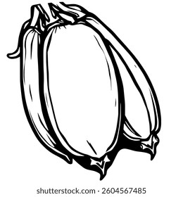 Line Art Drawing Of A Pair Of Okra Pods