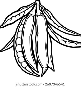 Line Art Drawing Of Pea Pods Filled With Peas