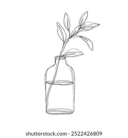 Line Art Drawing Of Plant in Vase Black Sketch of Leaves Branch Isolated on White Background. Flower with Leaves One Line Illustration. Minimalist Botanical Drawing. Vector	