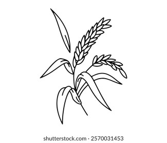 Line art drawing of rice stalks. hand-drawn illustration