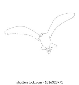 Line art drawing of Seagull flying on sky. Funny looking bird glances at people during flying
