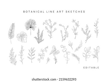 Line art drawing set, black sketch of botanica isolated on white background. Decorative beauty elegant illustration for design. Vector leafs. Minimalist prints or tatto.