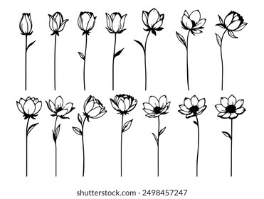 Line Art Drawing Set Of Plants Black Sketch of Flowers Isolated on White Background. Flowers One Line Illustration. Minimalist Prints Set. Vector EPS 10.	