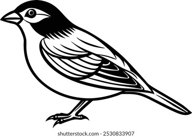 Desenho de arte de linha de Silhueta preto grosbeak vetor arte ilustração