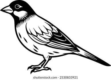 Desenho de arte de linha de Silhueta preto grosbeak vetor arte ilustração