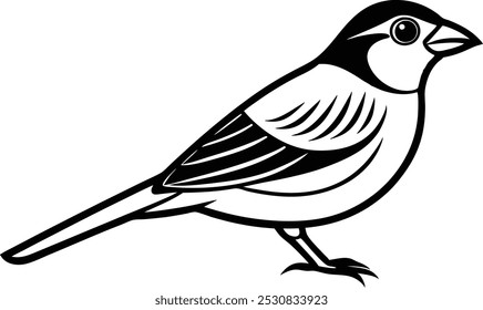 Desenho de arte de linha de Silhueta preto grosbeak vetor arte ilustração