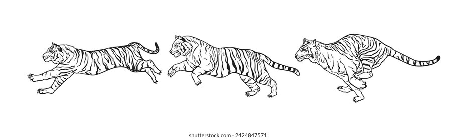 Line art drawing tiger illustration. tigers line art vector illustrations for designers and other creative use. tiger tattoo design wild animal illustration vector. Run and jump tiger.