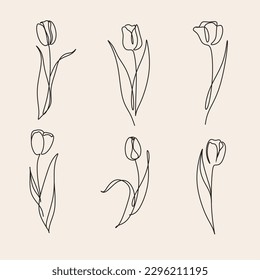 A line art drawing tulip flower vector set. Doodle botanical elegant minimalism floral plant