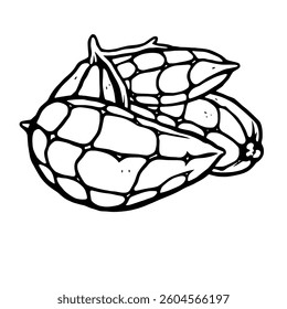 Line Art Drawing Of Two Textured Nutshells