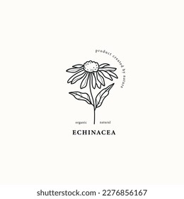 Line art echinacea flower illustration