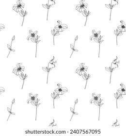 Line art Elegant floral vector seamless pattern flowers of Clematis black on white. Hand drawn element. Delicate background for design packaging, card