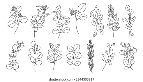 Line art eucalyptus branches, leaves set. Outlined vintage botanical drawing. Trendy greenery elements for logo, tattoo, packaging, wedding invitations. Vector illustrations on white background