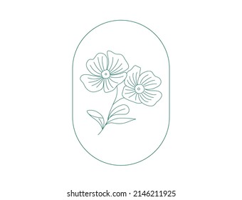 line art of evening primrose flower illustration. Vector flower isolated on white. Oenothera speciosa is a species of evening primrose.