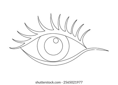 Line Art Eye Illustration . aesthetic eye art