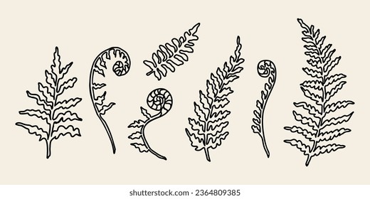 Line art fern branch illustration