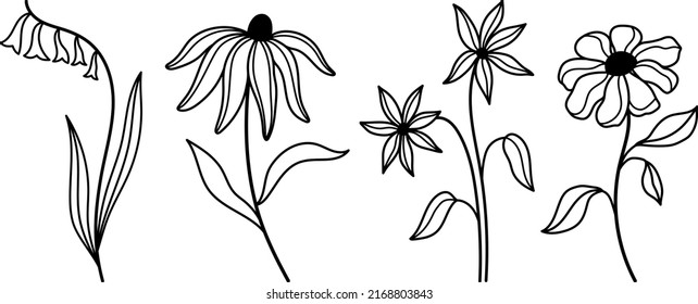 Line art field flowers vector clipart. Outline wildflowers illustrations in tattoo style