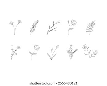 Line Art Flora Element Set 