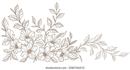 Line art floral botanical on transparent background vector. floral, flowers, leaves, foliage, branches in hand drawn. Floral frame design