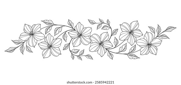 Line art floral botanical on transparent background vector. floral, flowers, leaves, foliage, branches in hand drawn. Floral element design